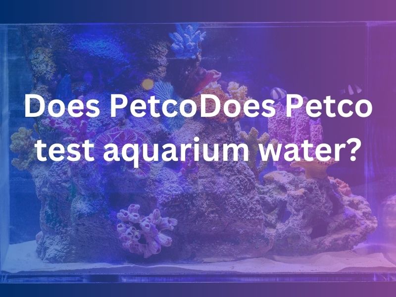 Does PetcoDoes Petco test aquarium water