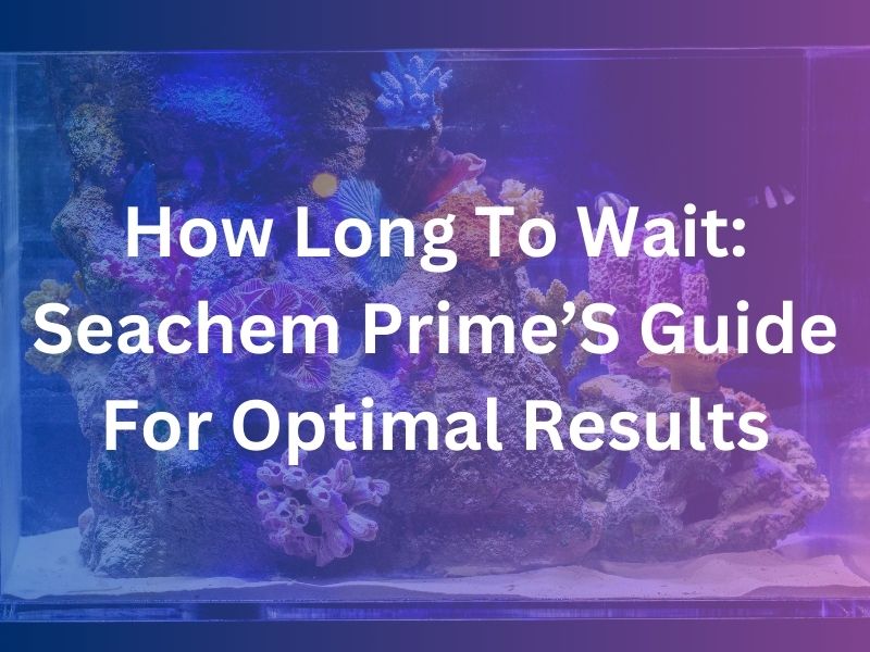 How Long Should You Wait After Using Seachem Prime