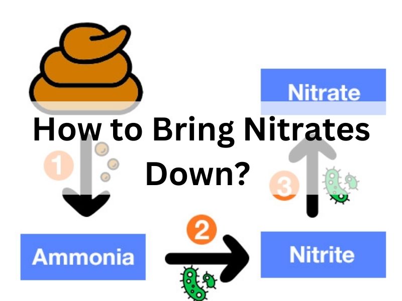 How to Bring Nitrates Down