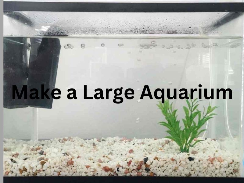 Make a Large Aquarium