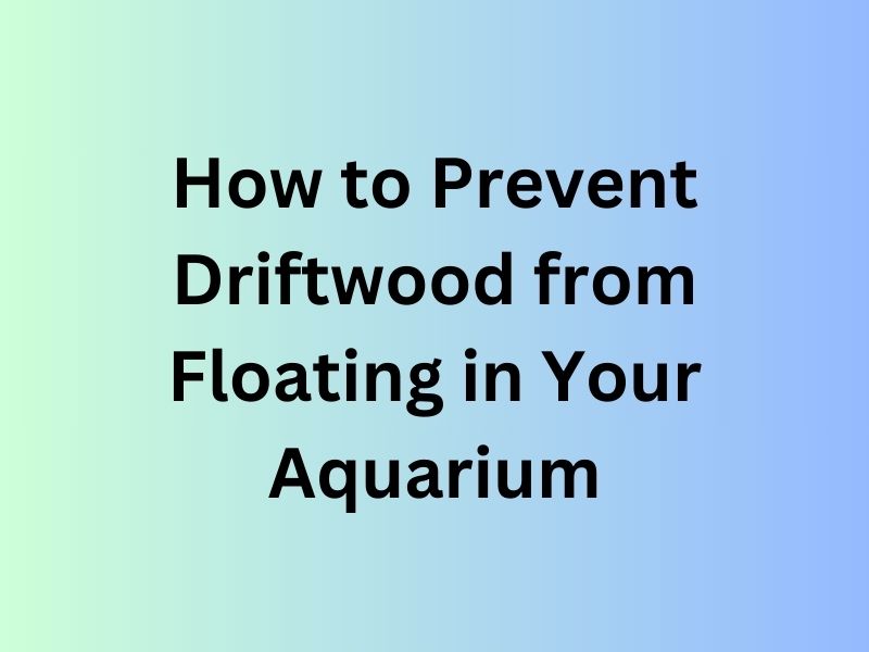 Prevent Driftwood from Floating